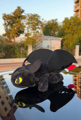 Toothless & Light Fury Car or Moto Decor